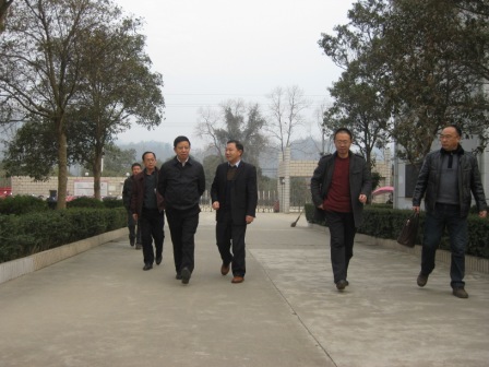 BG大游·(集团)视讯官方网站